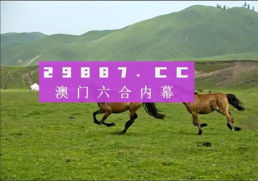 澳门最精准正最精准龙门客栈|精选资料解析大全