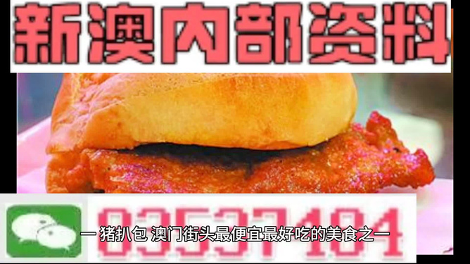 2024精准正版资料|精选资料解析大全