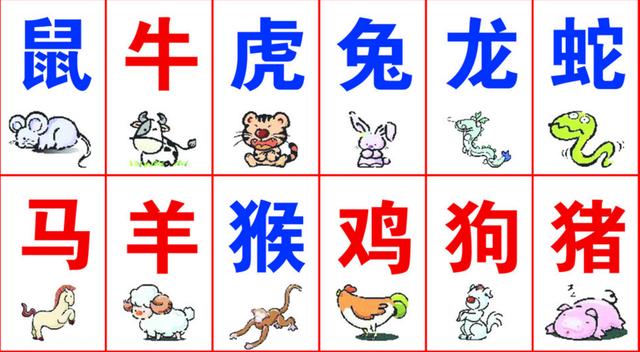 一码一肖100%精准生肖第六|精选资料解析大全