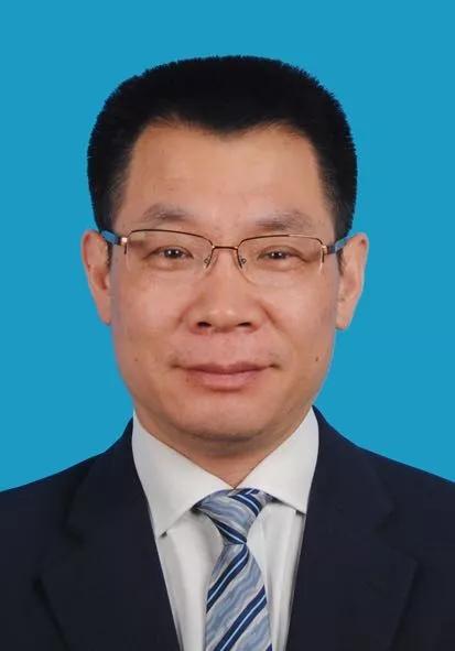 2024新奥免费看的资料|精选资料解析大全
