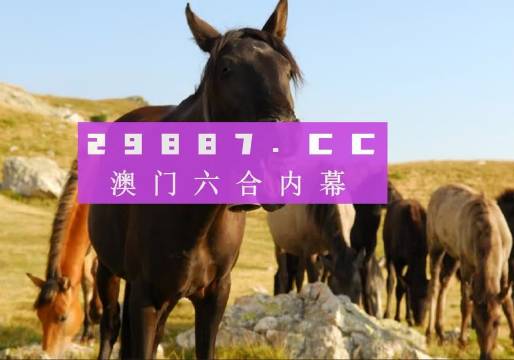 澳门管家婆精淮一肖一码|精选资料解析大全
