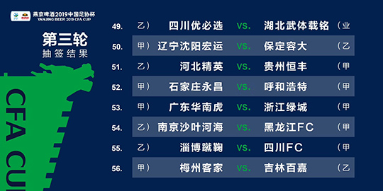 2024新澳三期必出一肖|精选资料解析大全