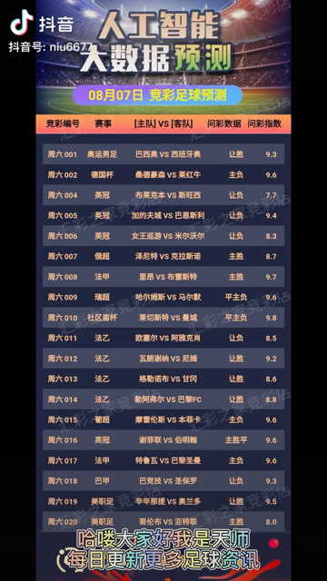 探索2024天天彩,全年免费资料|精选资料解析大全