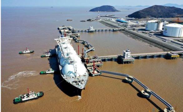 2024新奥精准正版资料|精选资料解析大全