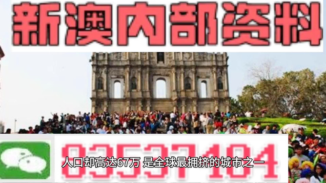 新澳新澳门正版资料|精选资料解析大全