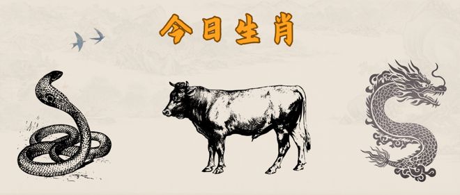 2024年四不像正版资料|精选资料解析大全