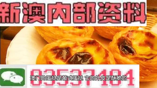 2024澳门精准正版资料大全|精选资料解析大全