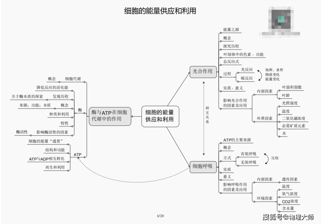 澳门三肖三码三期必出特|精选资料解析大全