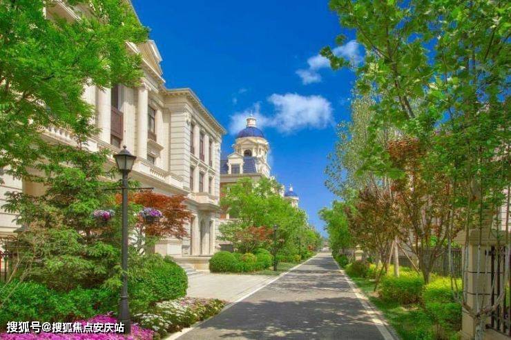三肖必中特三肖三码官方下载|精选资料解析大全