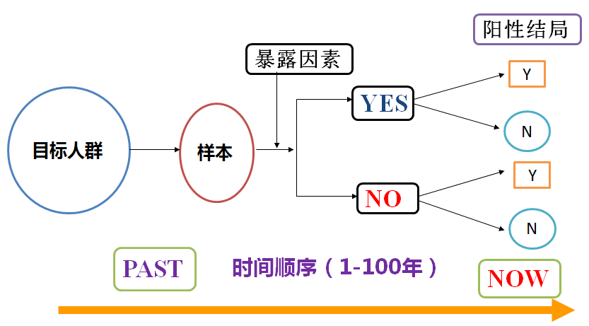 2024年新奥门天天开彩免费资料|精选资料解析大全