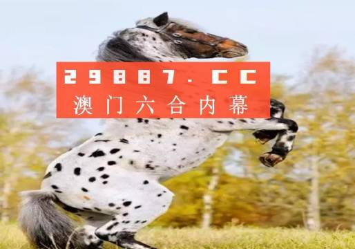 白小姐正版四不像最新版本|精选资料解析大全