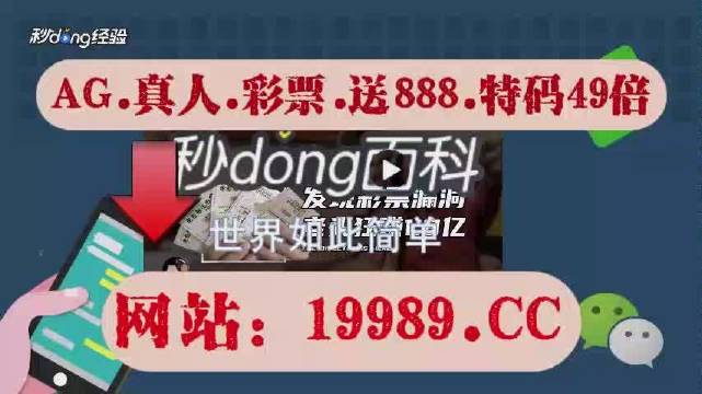 2024澳门天天开彩结果|精选资料解析大全