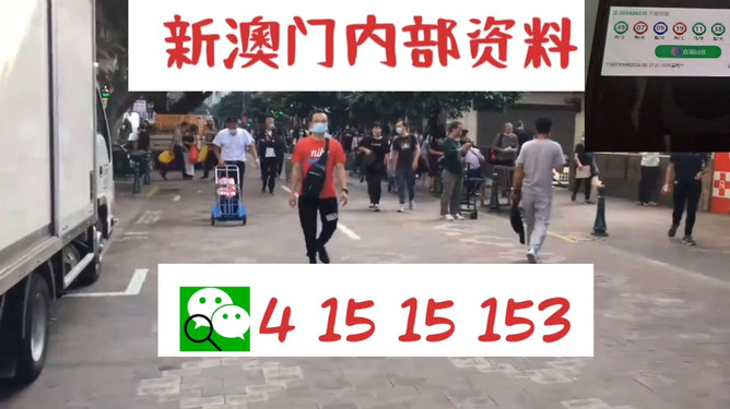 新澳门一码中中特|精选资料解析大全