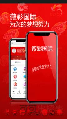 2024澳门开奖历史记录查询|精选资料解析大全