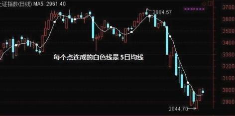 600630股票,深度解析，600630股票的投资价值与风险挑战