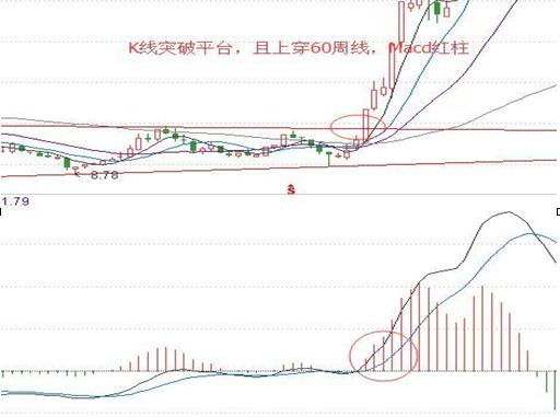 600536股票,关于股票600536的深度解析