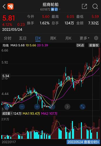 招商轮船股票,招商轮船股票，投资潜力与市场前景分析
