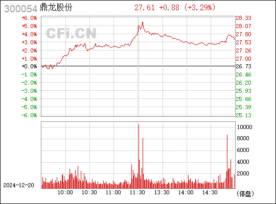 鼎龙股份300054,鼎龙股份（股票代码，300054）深度解析