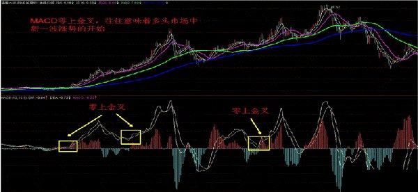 600729股票,深度解析，600729股票的前瞻与展望