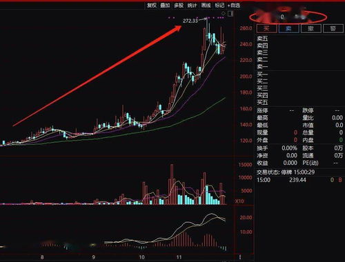 600052股票,深度解析，600052股票的投资价值与前景展望