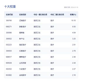 东吴证券股票,东吴证券股票，深度解析与投资前景展望