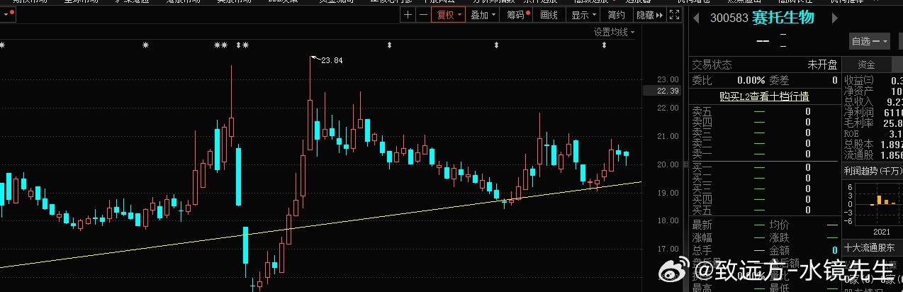 002396股票,深度解析，关于股票002396的投资价值探讨