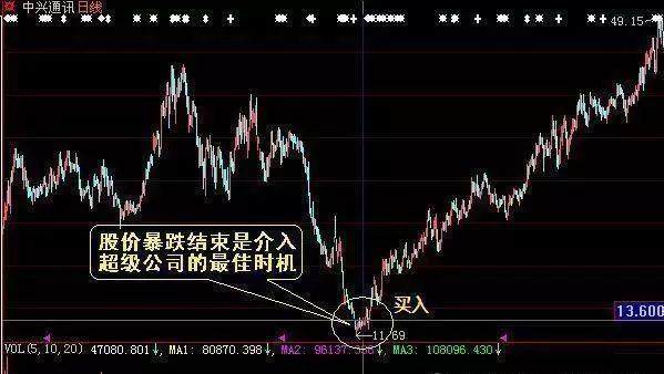 002518股票,深度解析，关于股票002518的投资洞察