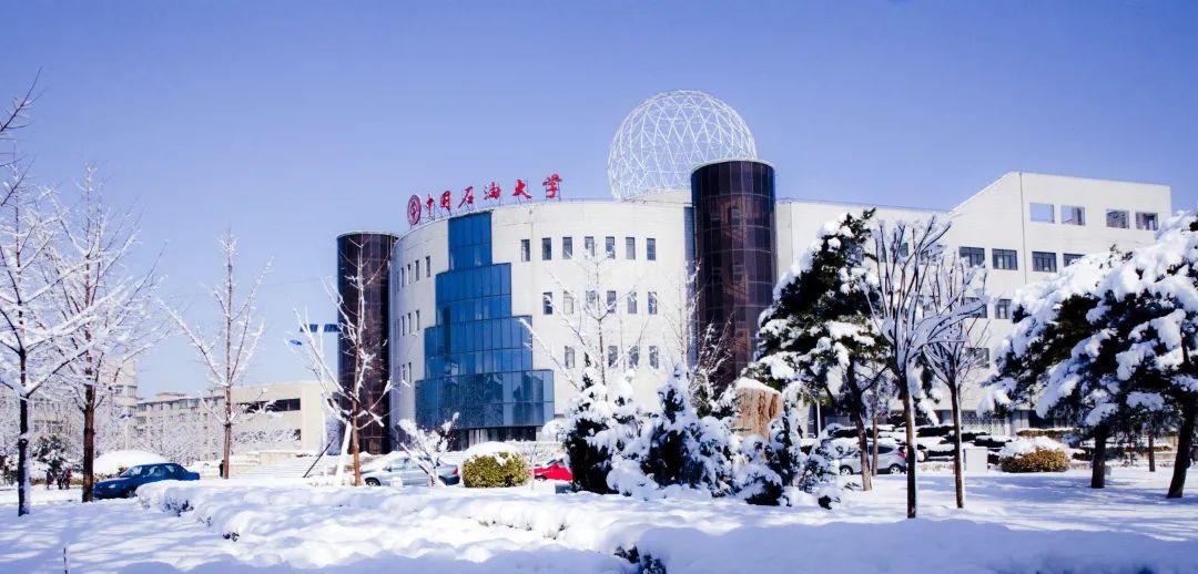 中国石油股票,中国石油股票，市场趋势、投资分析与风险管理策略