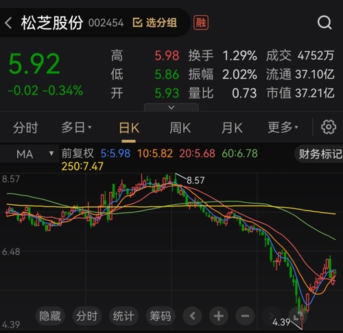 002454松芝股份,松芝股份，探索企业成长之路与市场潜力