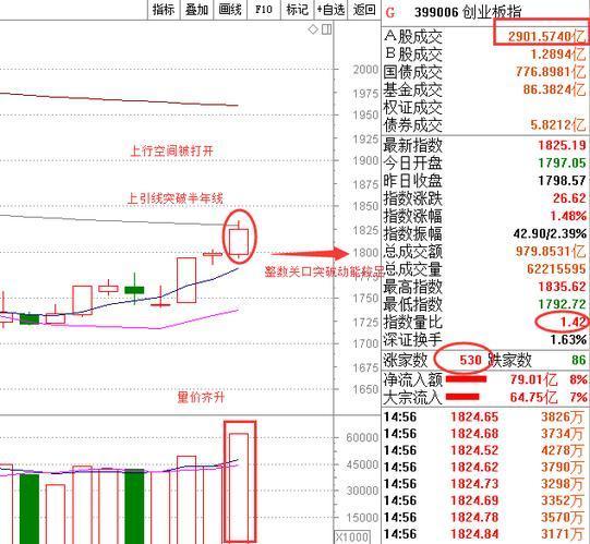 股票002230,深度解析股票002230，发展与挑战并存