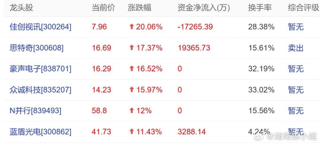 股票002118,股票002118，深度解析与前景展望