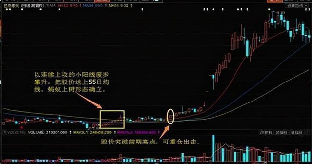 002108股票,揭秘中国股市中的明星股票，002108股票深度解析