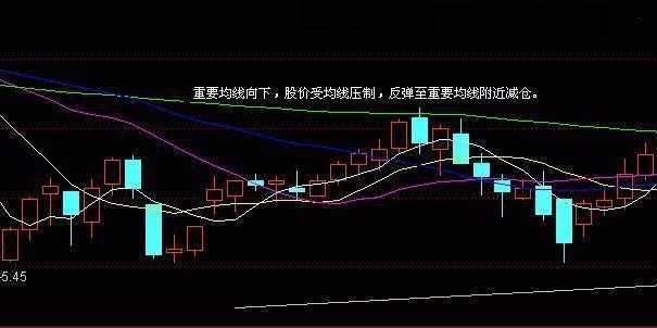 西水股份股票,西水股份股票，深度解析与前景展望