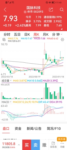国脉科技股票,国脉科技股票，探索数字时代的潜力与价值