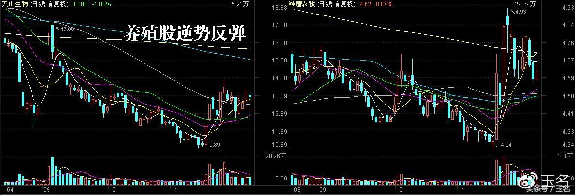 罗牛山股票,罗牛山股票，投资热点与市场动态分析