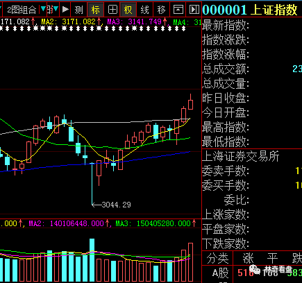 600198股票,关于股票600198的深度解析