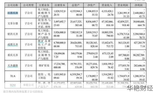 002374股票,深度解析，002374股票的投资价值与前景展望