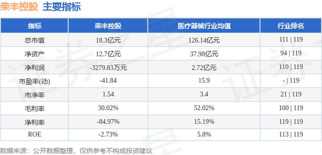 荣丰控股股票,荣丰控股股票，深度解析与前景展望