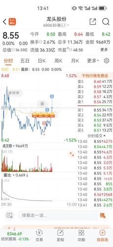 600630龙头股份,龙头股份，探寻600630背后的力量