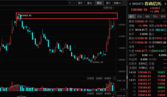 002236股票,关于股票002236的深入解析