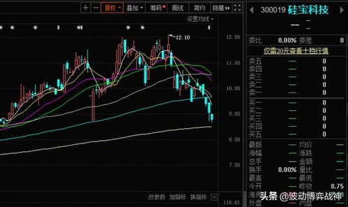 硅宝科技股票,硅宝科技股票，探索与前景展望