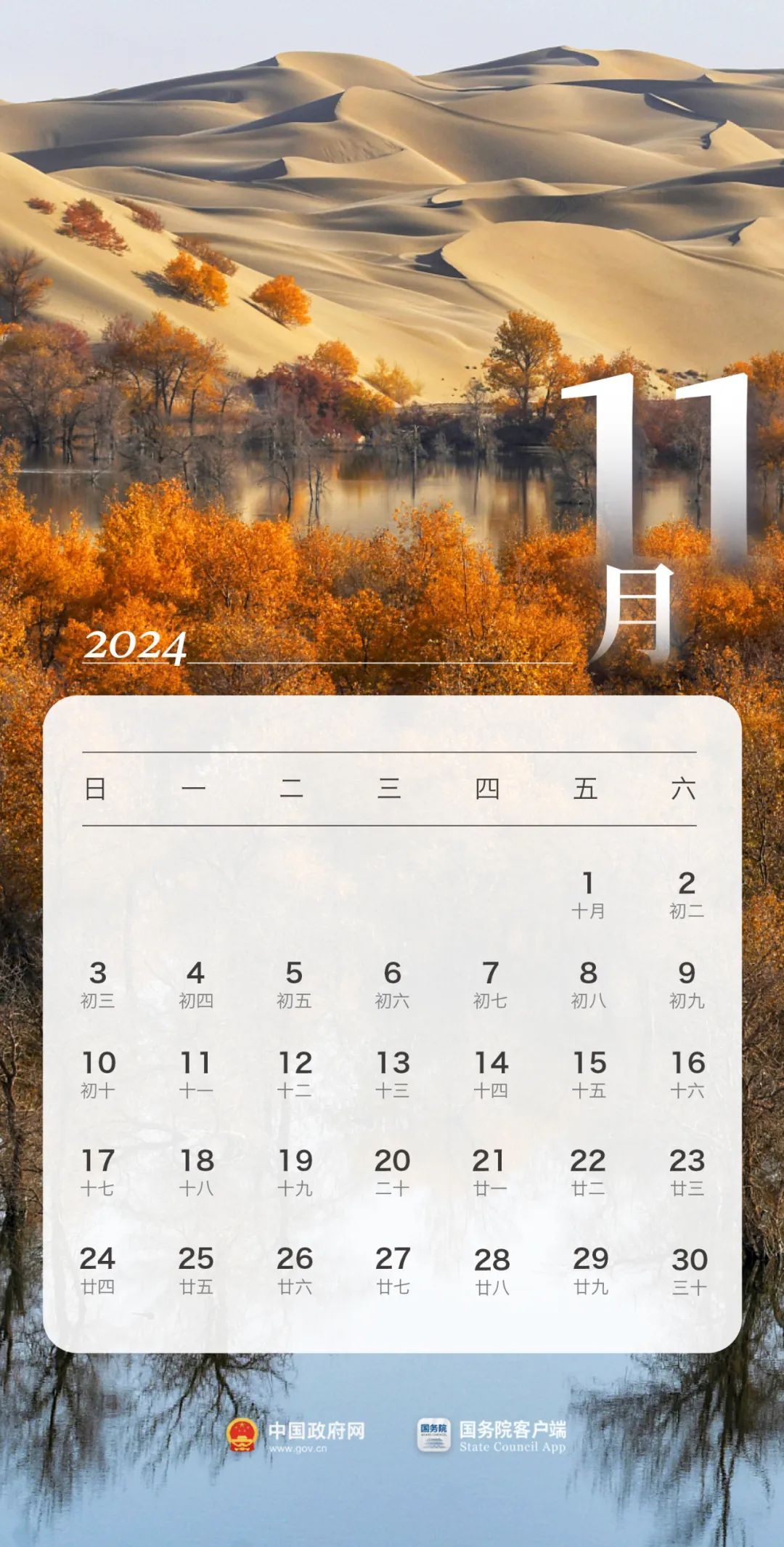 2024年正版四不像今晚|精选资料解析大全,解析精选资料大全，探索正版四不像的世界在今晚与未来的展望（以2024年为背景）