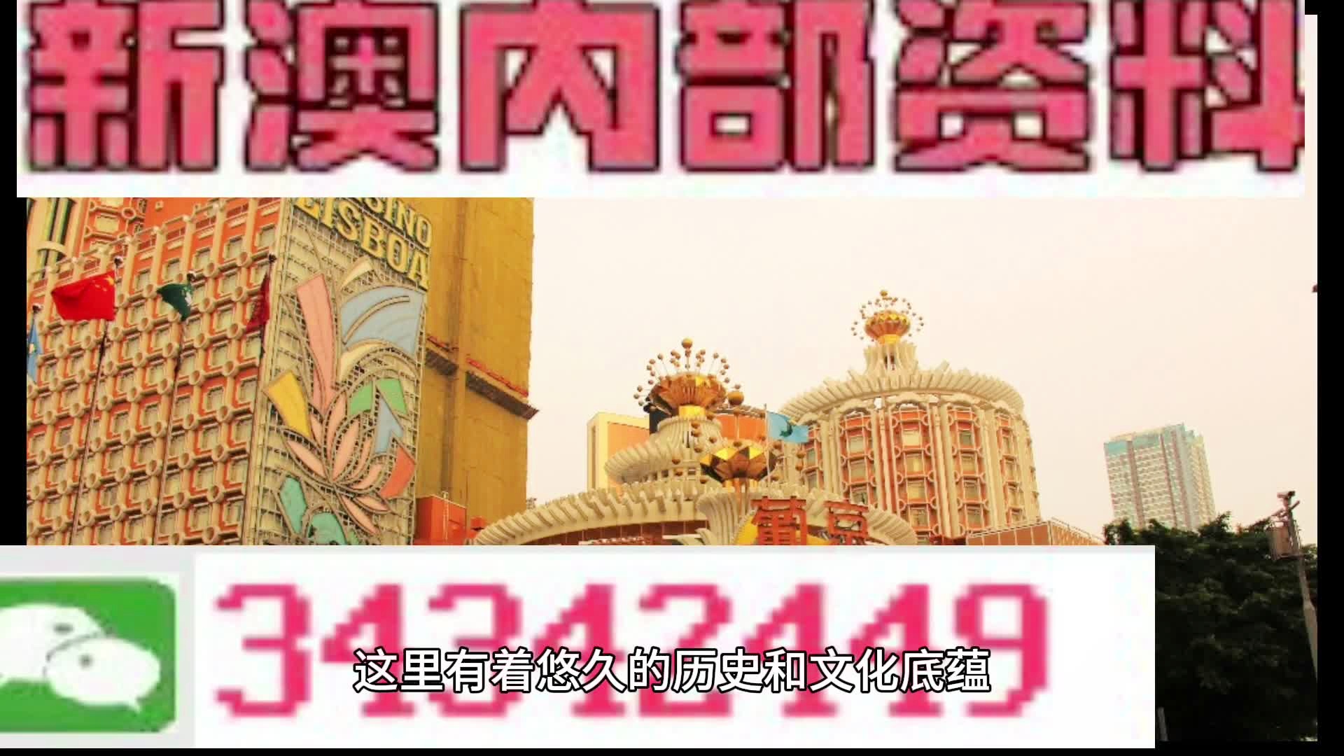 新奥门免费公开资料|精选资料解析大全,新澳门免费公开资料精选解析大全