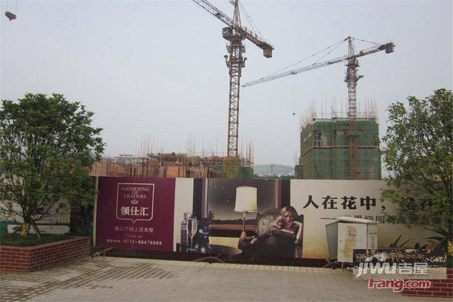 九龙领仕汇最新消息,九龙领仕汇最新消息全面解析