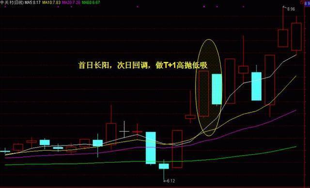 72层奇楼最新一期嘉宾,揭秘七十二层奇楼最新一期嘉宾的神秘面纱