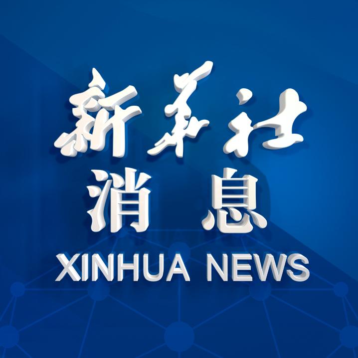 陈绿平最新消息9小时,陈绿平最新消息9小时，揭秘他的世界与未来展望