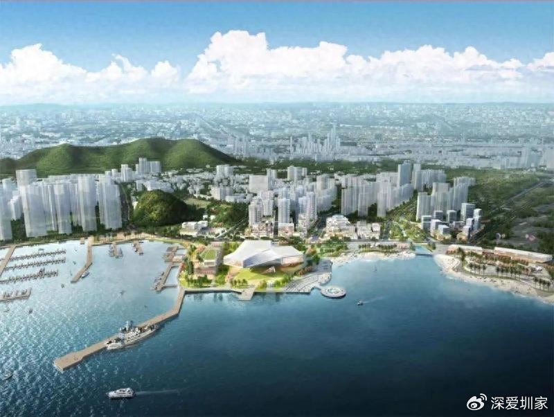 深赤湾a最新消息,深赤湾A最新消息全面解读