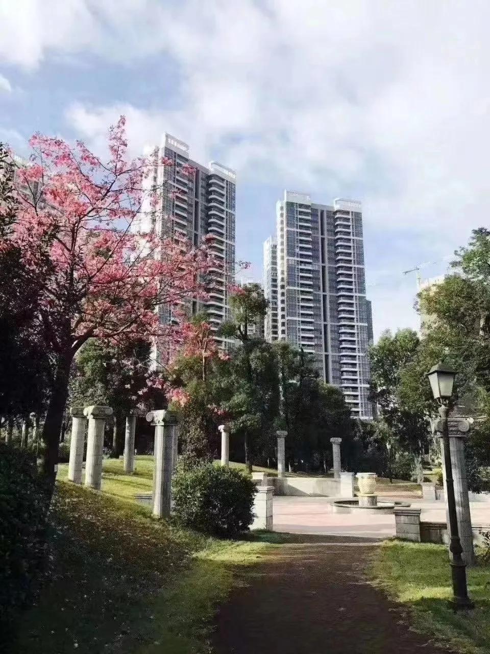 佛山三水保利中央公园最新房价,佛山三水保利中央公园最新房价动态