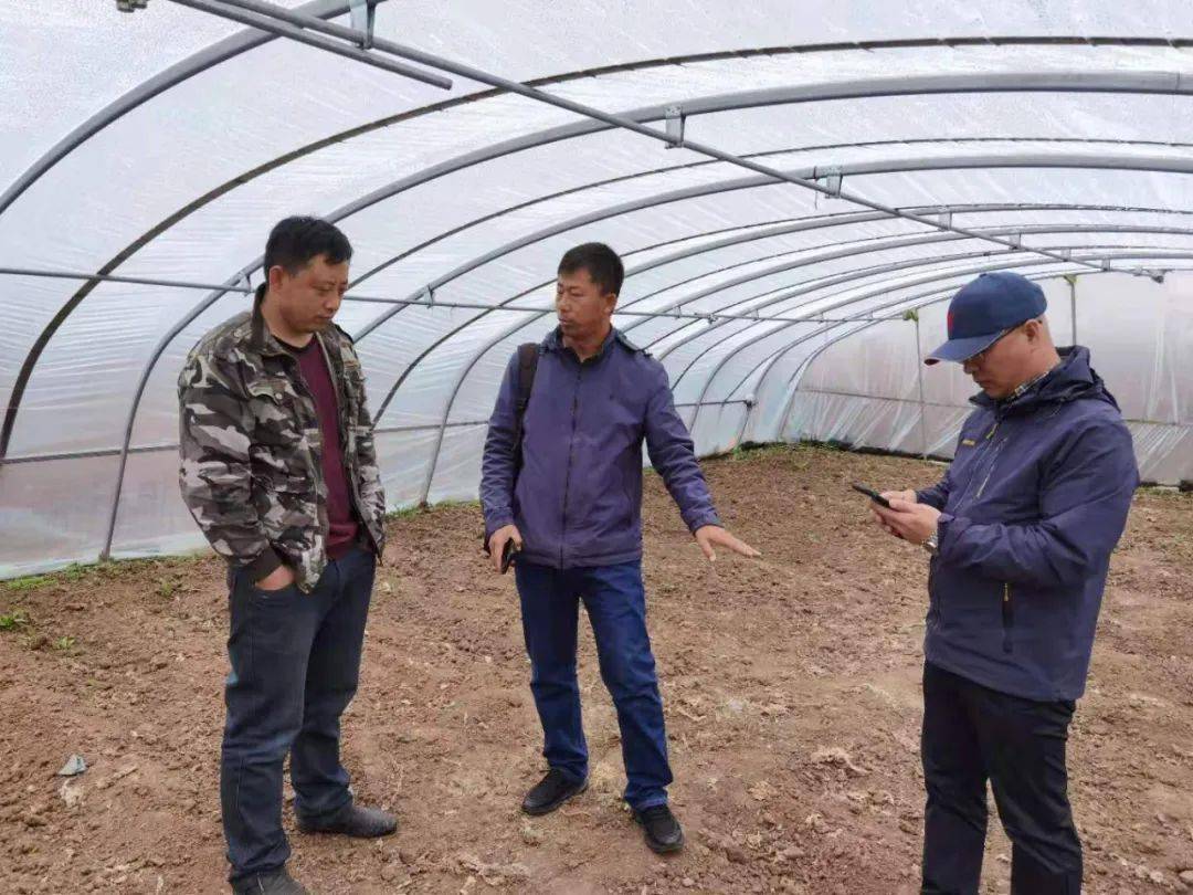 马尾区张圣杰最新消息,马尾区张圣杰最新消息，奋斗不止步，成就新篇章