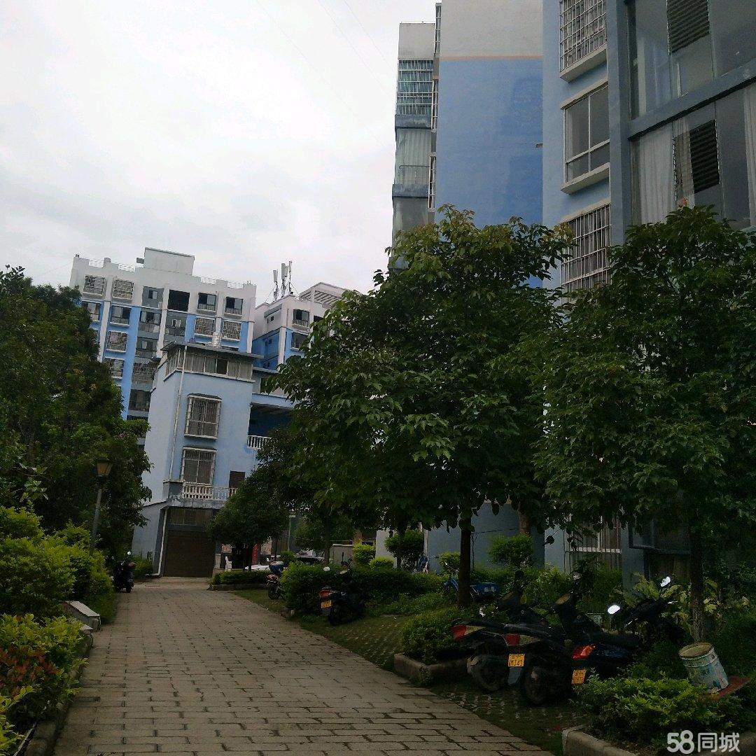 麻栗坡二手房最新消息,麻栗坡二手房最新消息概览